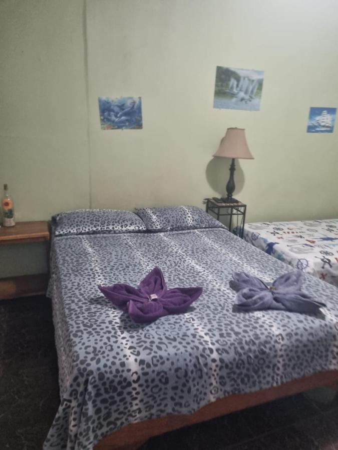 Hotel Paradise Alajuela Rio Segundo Luaran gambar